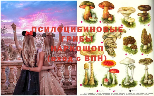 эйфоретик Волоколамск
